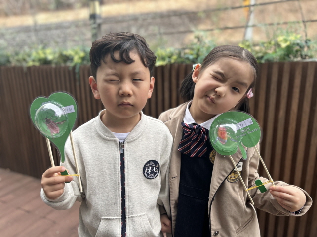 물방개 통통배